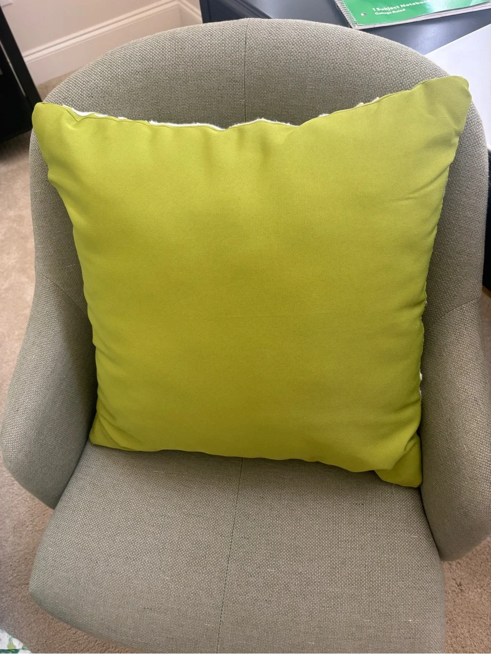 Green Leaf Embroidered Throw Pillow, 18x18